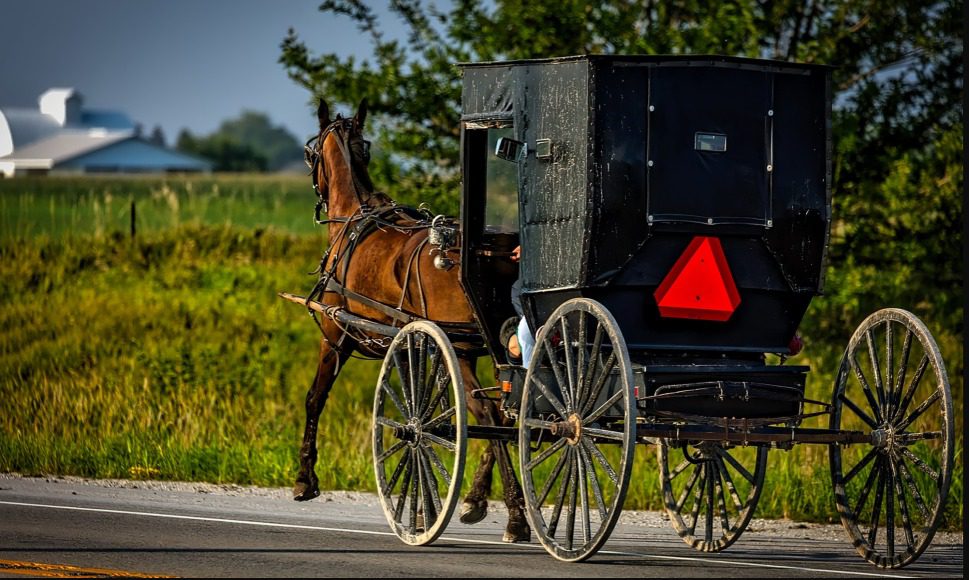 amish buggy